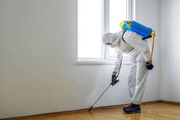 Best Pest Exclusion Services  in Charlotte, MI